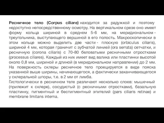 Ресничное тело (Corpus ciliare) находится за радужкой и поэтому недоступно