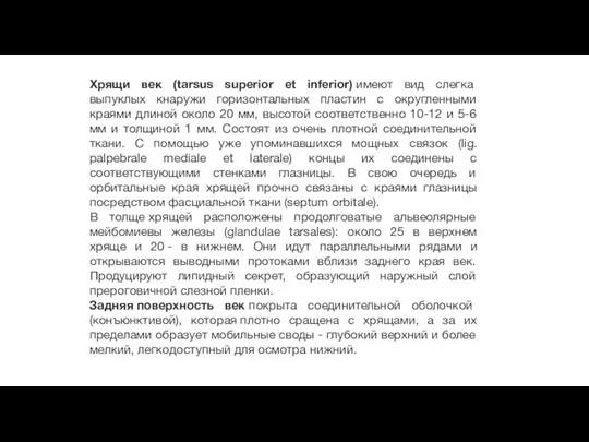 Хрящи век (tarsus superior et inferior) имеют вид слегка выпуклых