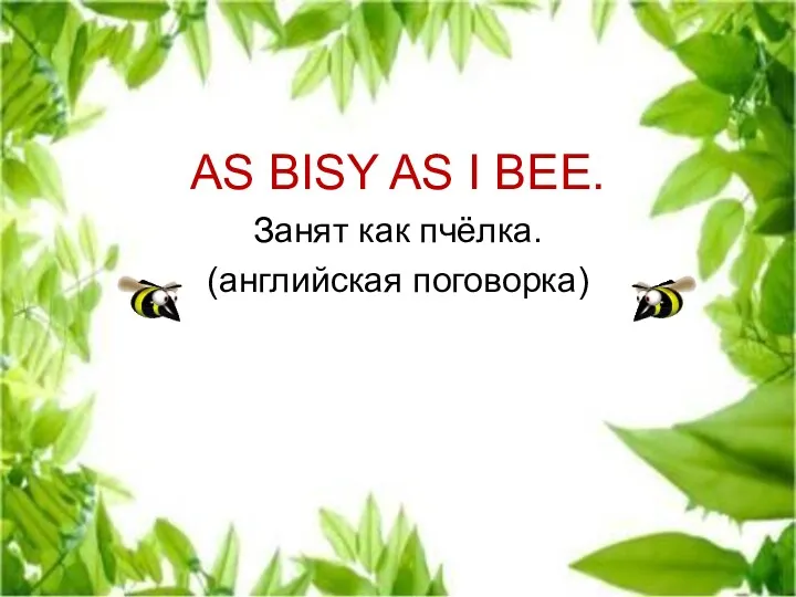 AS BISY AS I BEE. Занят как пчёлка. (английская поговорка)