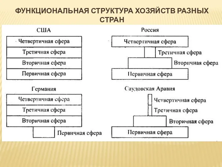 ФУНКЦИОНАЛЬНАЯ СТРУКТУРА ХОЗЯЙСТВ РАЗНЫХ СТРАН