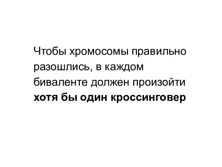 Чтобы хромосомы правильно разошлись, в каждом биваленте должен произойти хотя бы один кроссинговер