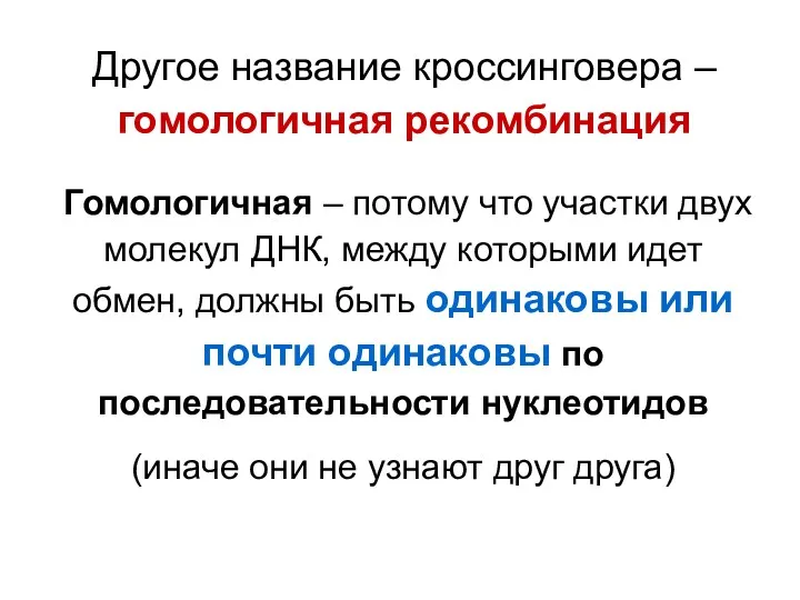 Другое название кроссинговера – гомологичная рекомбинация Гомологичная – потому что