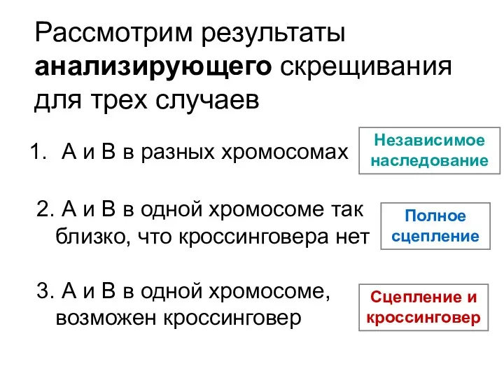 Рассмотрим результаты анализирующего скрещивания для трех случаев А и В