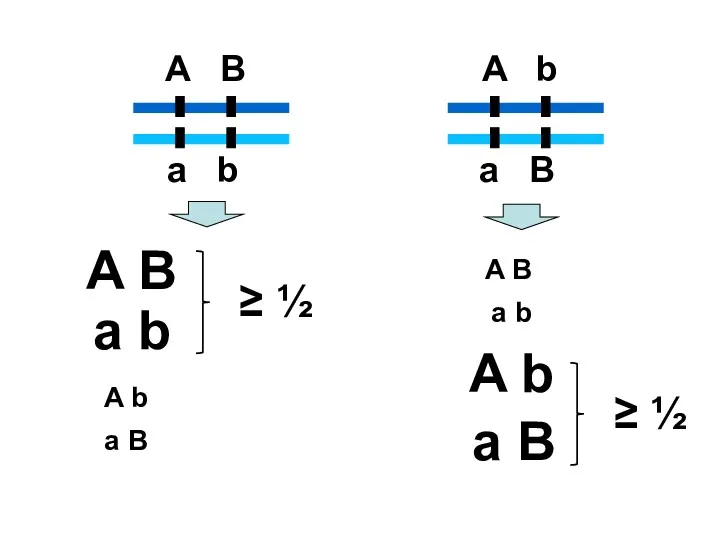 A B a b A b a B A B a b A