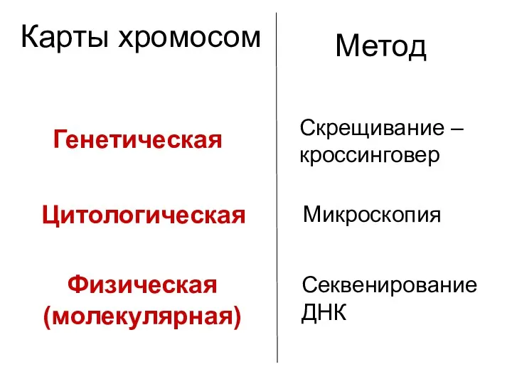 Карты хромосом Генетическая Цитологическая Физическая (молекулярная) Метод Скрещивание – кроссинговер Микроскопия Секвенирование ДНК