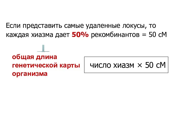 Если представить самые удаленные локусы, то каждая хиазма дает 50% рекомбинантов = 50