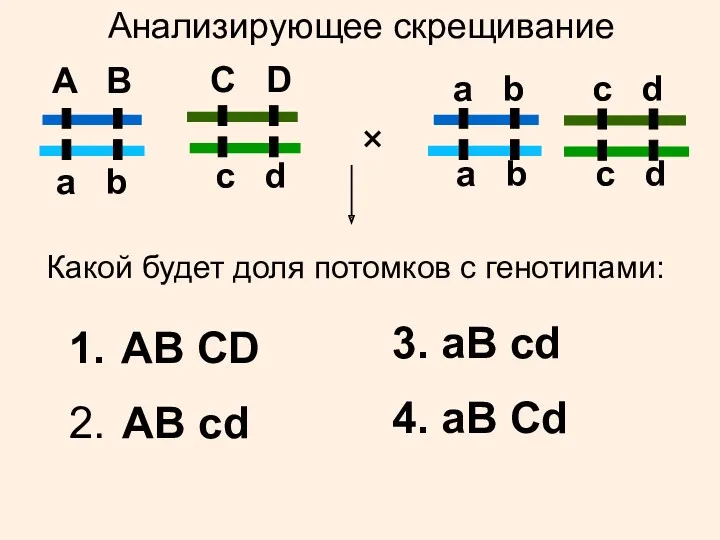 A B a b C D c d × Какой