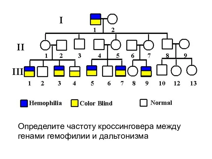 Определите частоту кроссинговера между генами гемофилии и дальтонизма