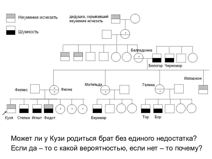 Может ли у Кузи родиться брат без единого недостатка? Если