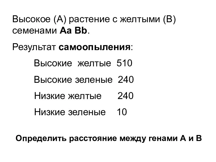 Высокое (А) растение с желтыми (В) семенами Aa Bb. Результат самоопыления: Высокие желтые