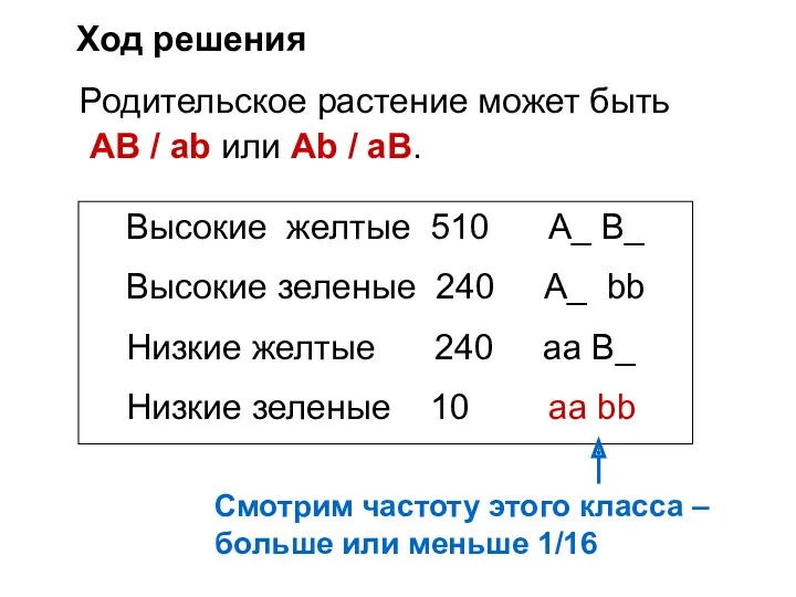 Высокие желтые 510 А_ B_ Высокие зеленые 240 A_ bb