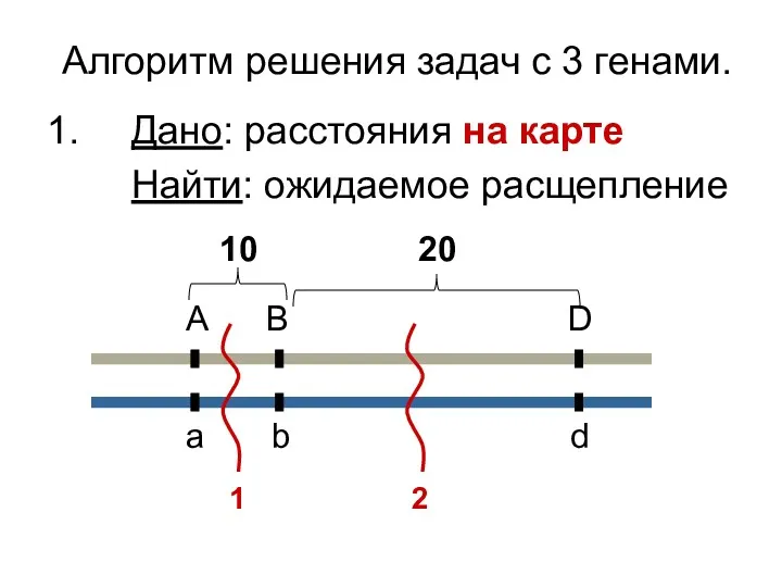 Алгоритм решения задач с 3 генами. Дано: расстояния на карте Найти: ожидаемое расщепление