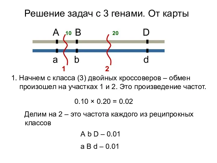 Решение задач с 3 генами. От карты 1. Начнем с