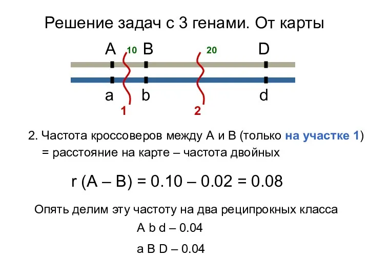 2. Частота кроссоверов между А и В (только на участке