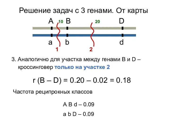 3. Аналогично для участка между генами В и D –