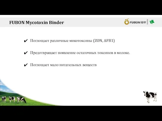 FUBON Mycotoxin Binder Поглощает различные микотоксины (ZON, AFB1) Предотвращает появление остаточных токсинов в