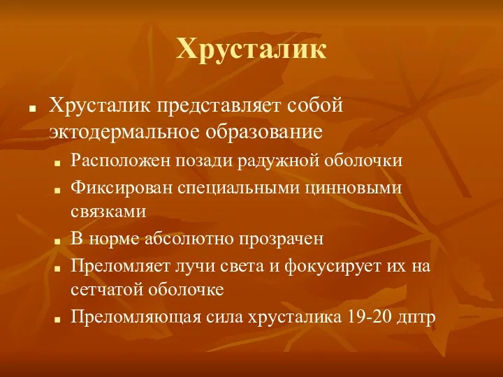 Хрусталик Хрусталик представляет собой эктодермальное образование Расположен позади радужной оболочки