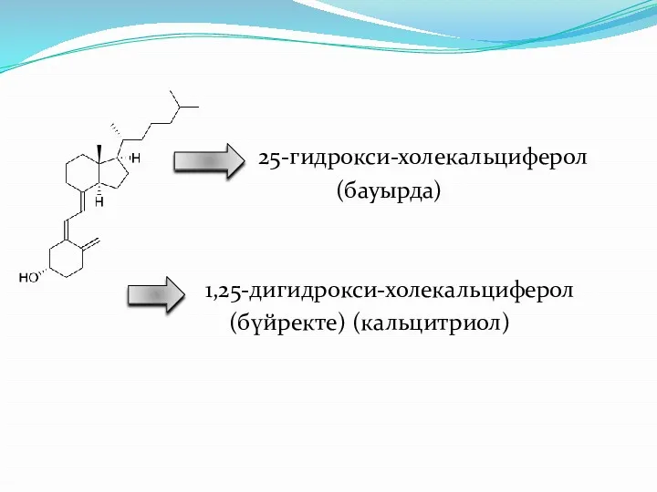 25-гидрокси-холекальциферол (бауырда) 1,25-дигидрокси-холекальциферол (бүйректе) (кальцитриол)