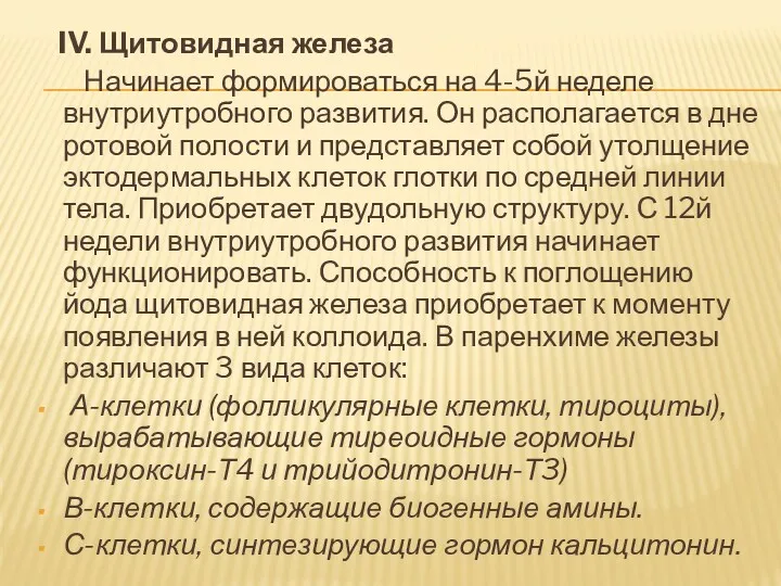 IV. Щитовидная железа Начинает формироваться на 4-5й неделе внутриутробного развития.