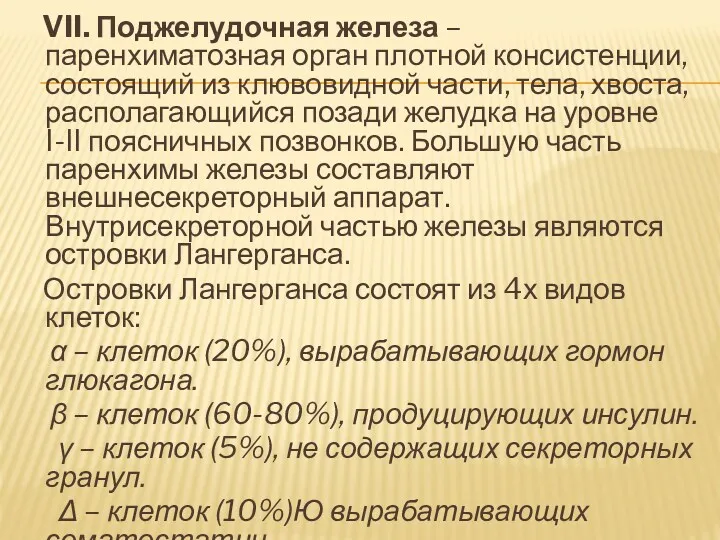 VII. Поджелудочная железа – паренхиматозная орган плотной консистенции, состоящий из