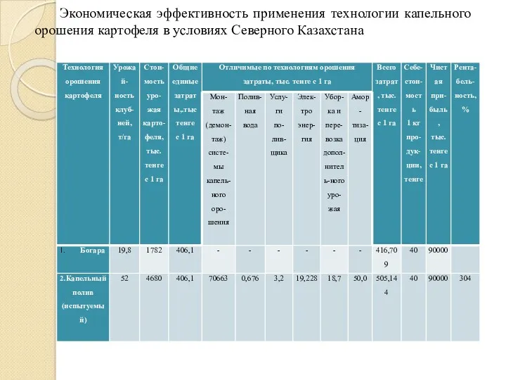 Экономическая эффективность применения технологии капельного орошения картофеля в условиях Северного Казахстана