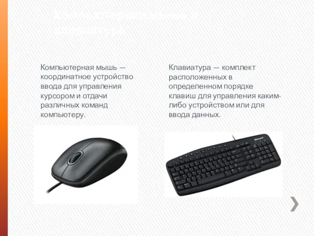 Компьютерная мышь и клавиатура Компьютерная мышь — координатное устройство ввода для управления курсором