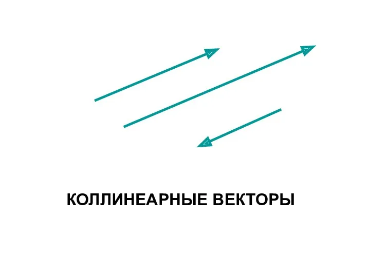 КОЛЛИНЕАРНЫЕ ВЕКТОРЫ