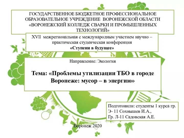 Проблемы утилизации ТБО (твердые бытовые отходы) в городе Воронеже