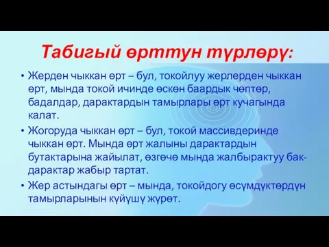 Табигый өрттун түрлөрү: Жерден чыккан өрт – бул, токойлуу жерлерден