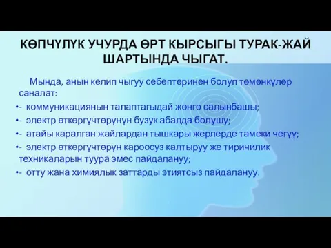 КӨПЧҮЛҮК УЧУРДА ӨРТ КЫРСЫГЫ ТУРАК-ЖАЙ ШАРТЫНДА ЧЫГАТ. Мында, анын келип