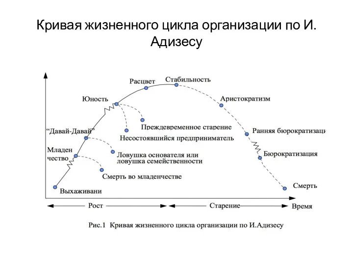 Кривая жизненного цикла организации по И.Адизесу