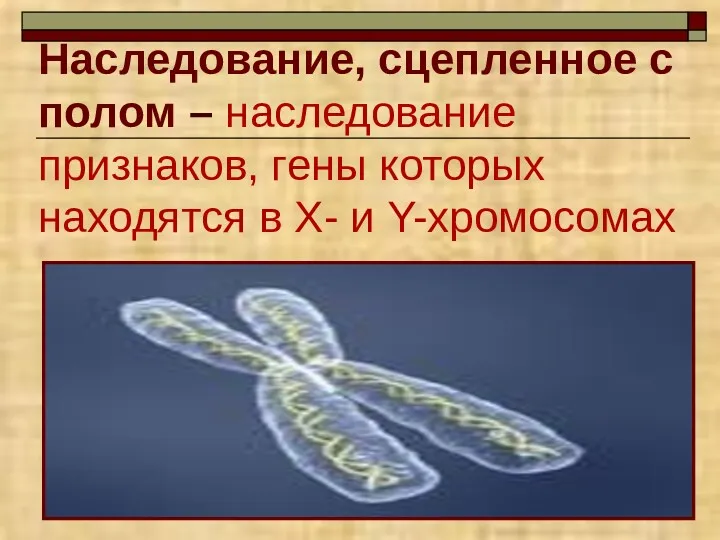 Наследование, сцепленное с полом – наследование признаков, гены которых находятся в Х- и Y-хромосомах