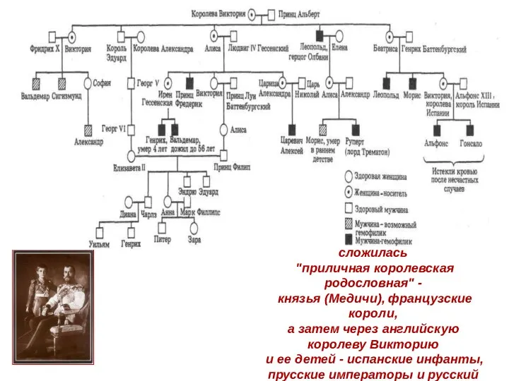 К концу 19 в. у гемофилии сложилась "приличная королевская родословная"