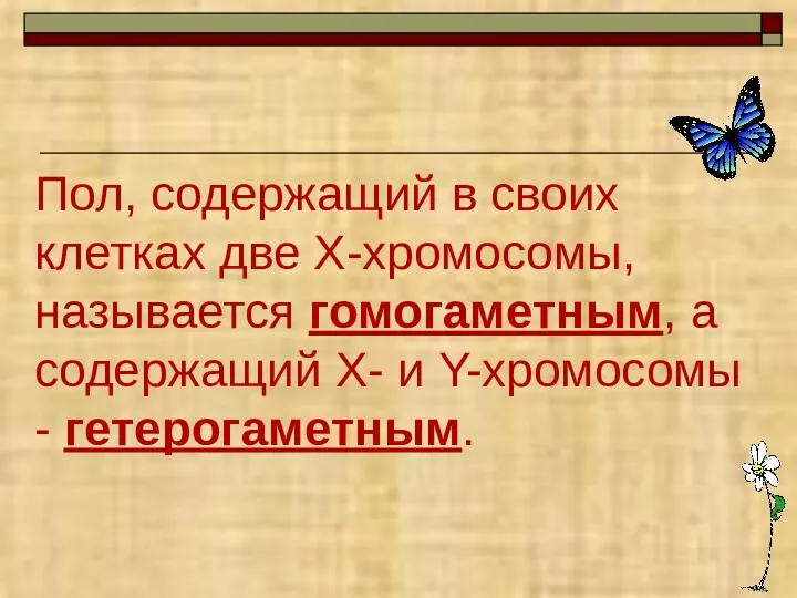 Пол, содержащий в своих клетках две Х-хромосомы, называется гомогаметным, а содержащий Х- и Y-хромосомы - гетерогаметным.