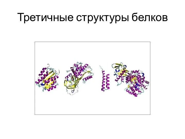 Третичные структуры белков
