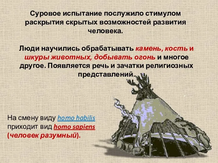 На смену виду homo habilis приходит вид homo sapiens (человек