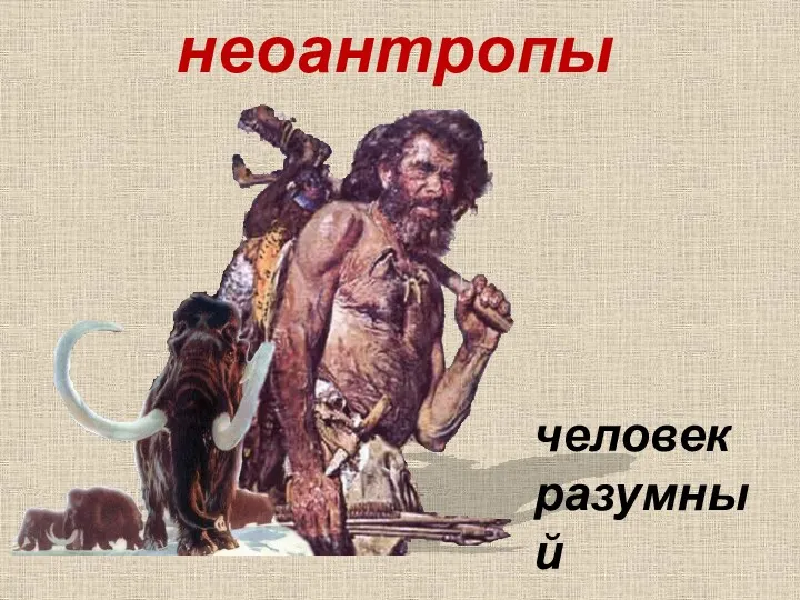 неоантропы человек разумный