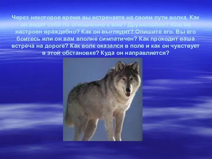 Через некоторое время вы встречаете на своем пути волка. Как