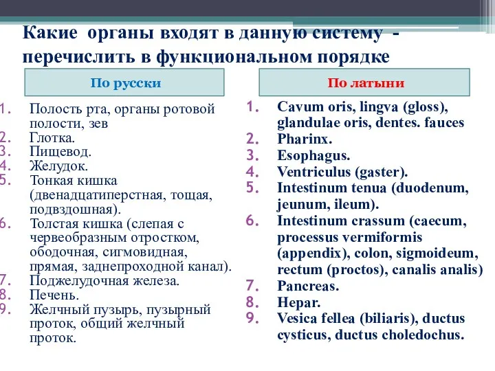 Какие органы входят в данную систему - перечислить в функциональном порядке По русски