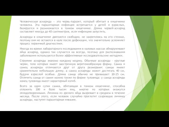 Человеческая аскарида — это червь-паразит, который обитает в кишечнике человека.