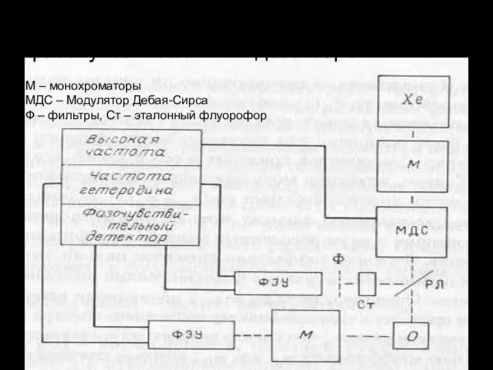 Блок-схема флуорометра с фазочувствительным детектором. М – монохроматоры МДС –