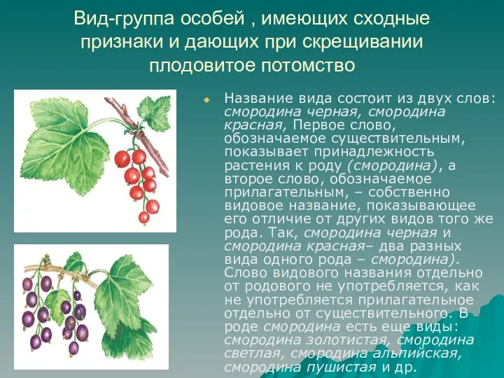 Вид-группа особей , имеющих сходные признаки и дающих при скрещивании плодовитое потомство Название