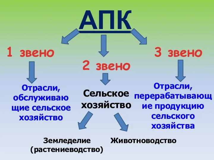 АПК 1 звено 2 звено 3 звено Отрасли, обслуживаю щие