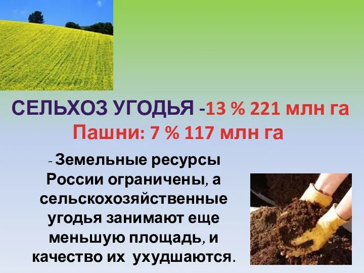 СЕЛЬХОЗ УГОДЬЯ -13 % 221 млн га Пашни: 7 %