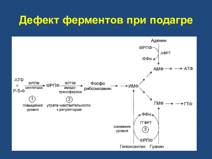 Дефект ферментов при подагре