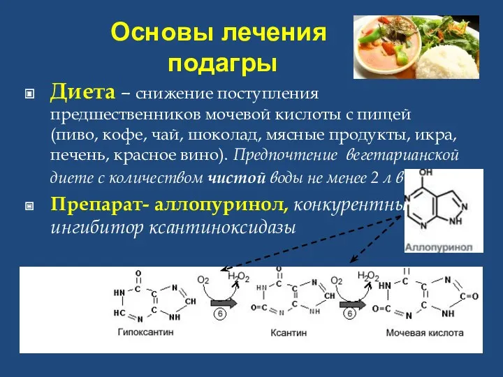 Основы лечения подагры Диета – снижение поступления предшественников мочевой кислоты