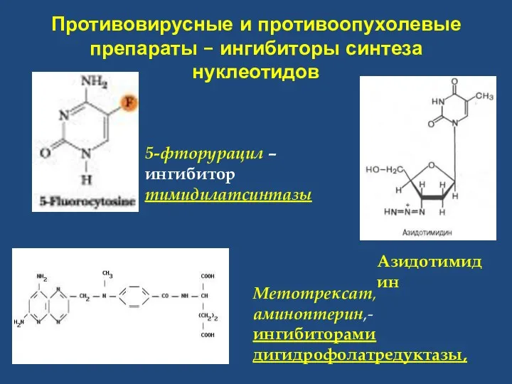 Противовирусные и противоопухолевые препараты – ингибиторы синтеза нуклеотидов Метотрексат, аминоптерин,- ингибиторами дигидрофолатредуктазы, Азидотимидин 5-фторурацил –ингибитор тимидилатсинтазы
