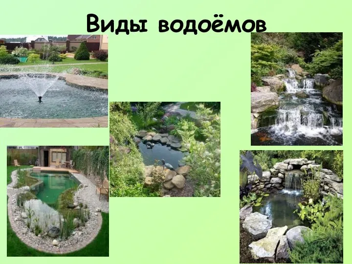 Виды водоёмов