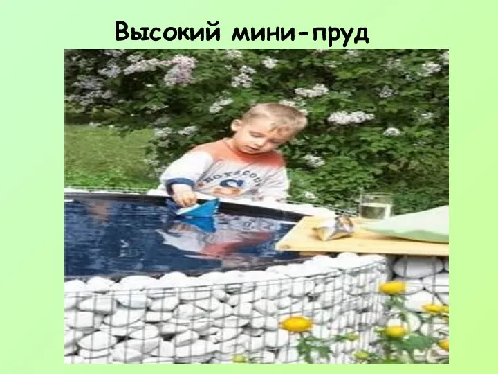 Высокий мини-пруд