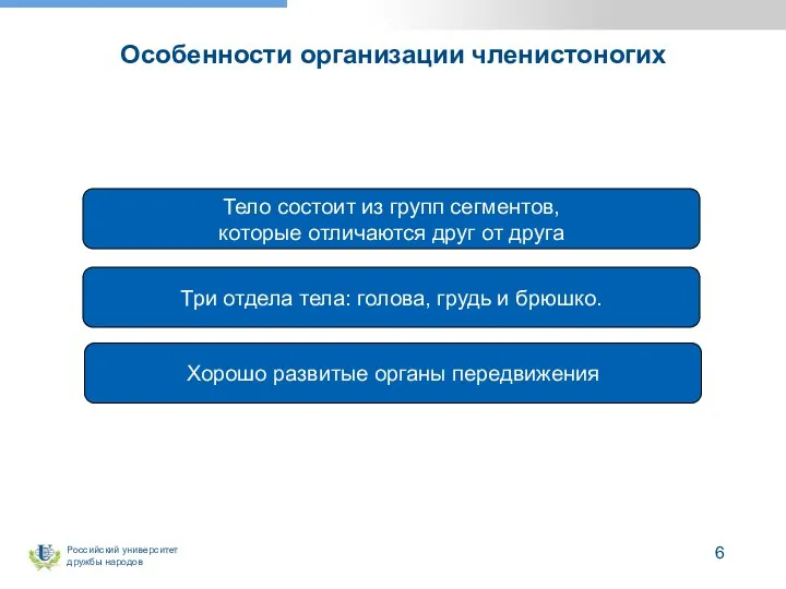 Особенности организации членистоногих Тело состоит из групп сегментов, которые отличаются друг от друга